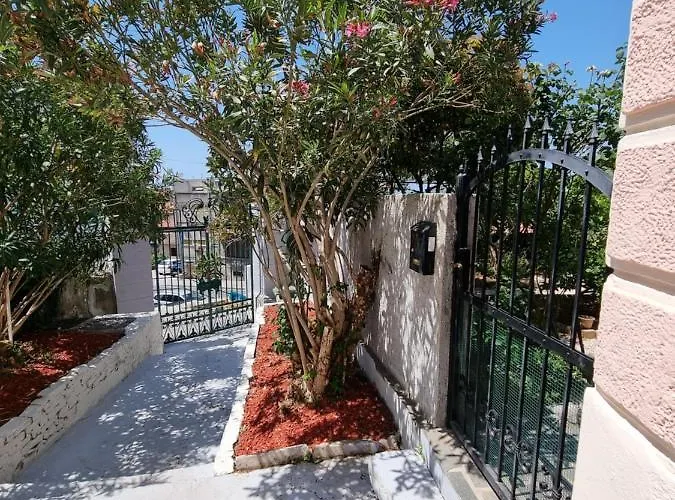 Alice In Wonderland 시베니크